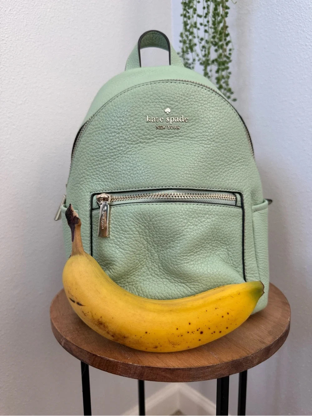 Kate Spade Leila Mini Domed Backpack Seafoam Green